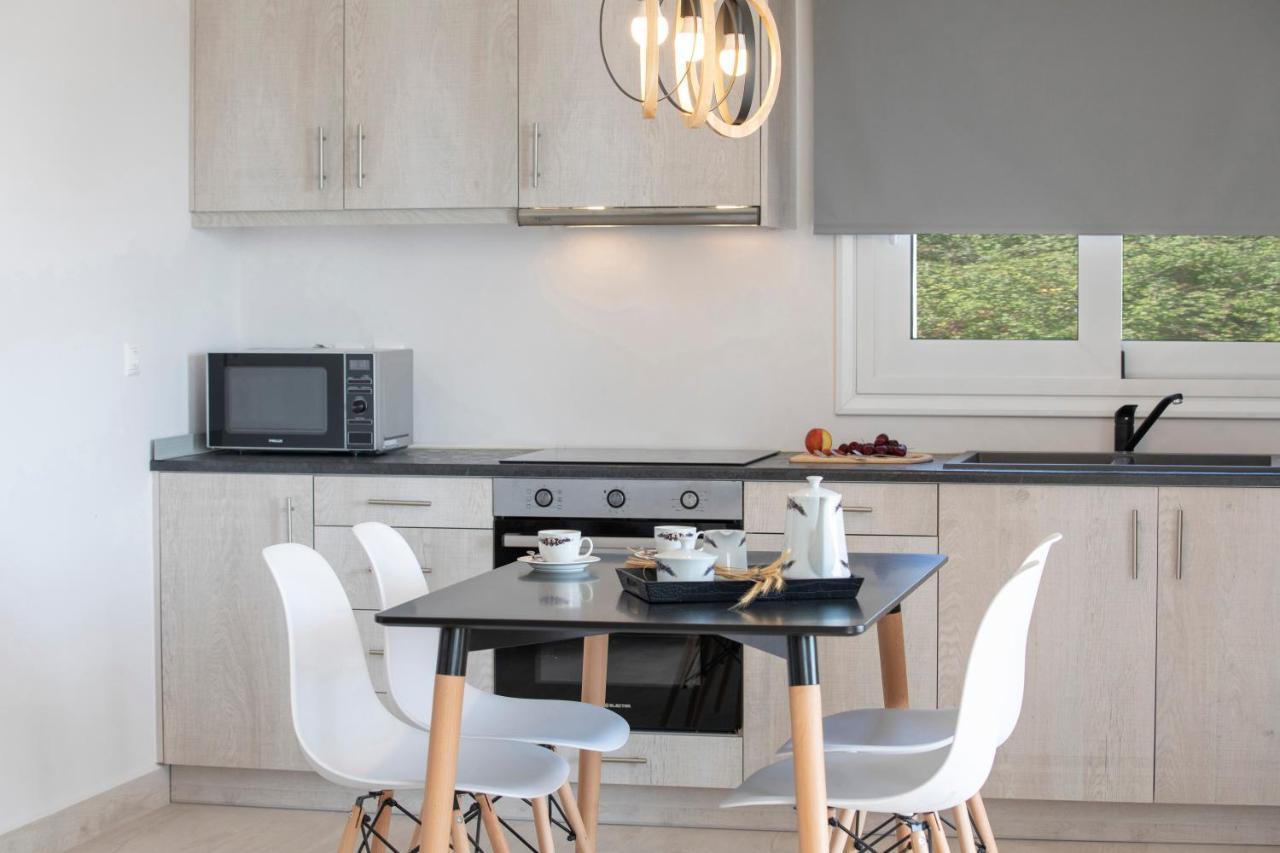 Sea N' Smile Apartment Apolpaina Екстериор снимка